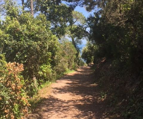 Blog: Das Leben ist eine Pilgerreise Foto: Sandra Hartmann