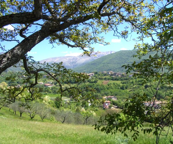 Blog: Das Leben ist eine Pilgerreise Foto: Sandra Hartmann