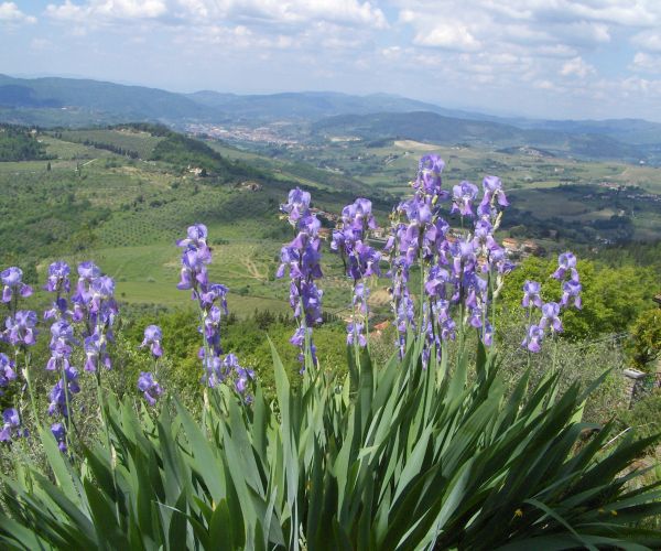 Blog: Das Leben ist eine Pilgerreise Foto: Sandra Hartmann