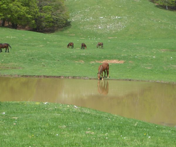 Blog: Das Leben ist eine Pilgerreise Foto: Sandra Hartmann
